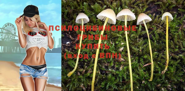 ALPHA-PVP Волоколамск